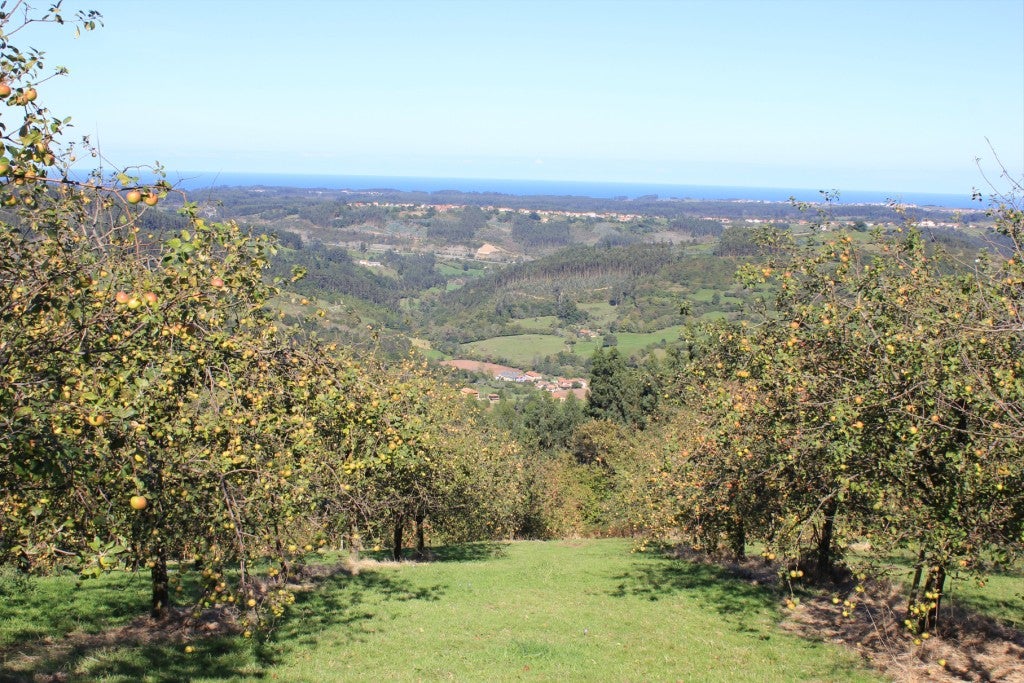 Las ayudas Leader para el grupo Comarca de la Sidra permitirán apoyar 58 proyectos con una inversión de 1,44 millones Las ayudas Leader para el grupo Comarca de la Sidra permitirán apoyar 58 proyectos con una inversión de 1,44 millones