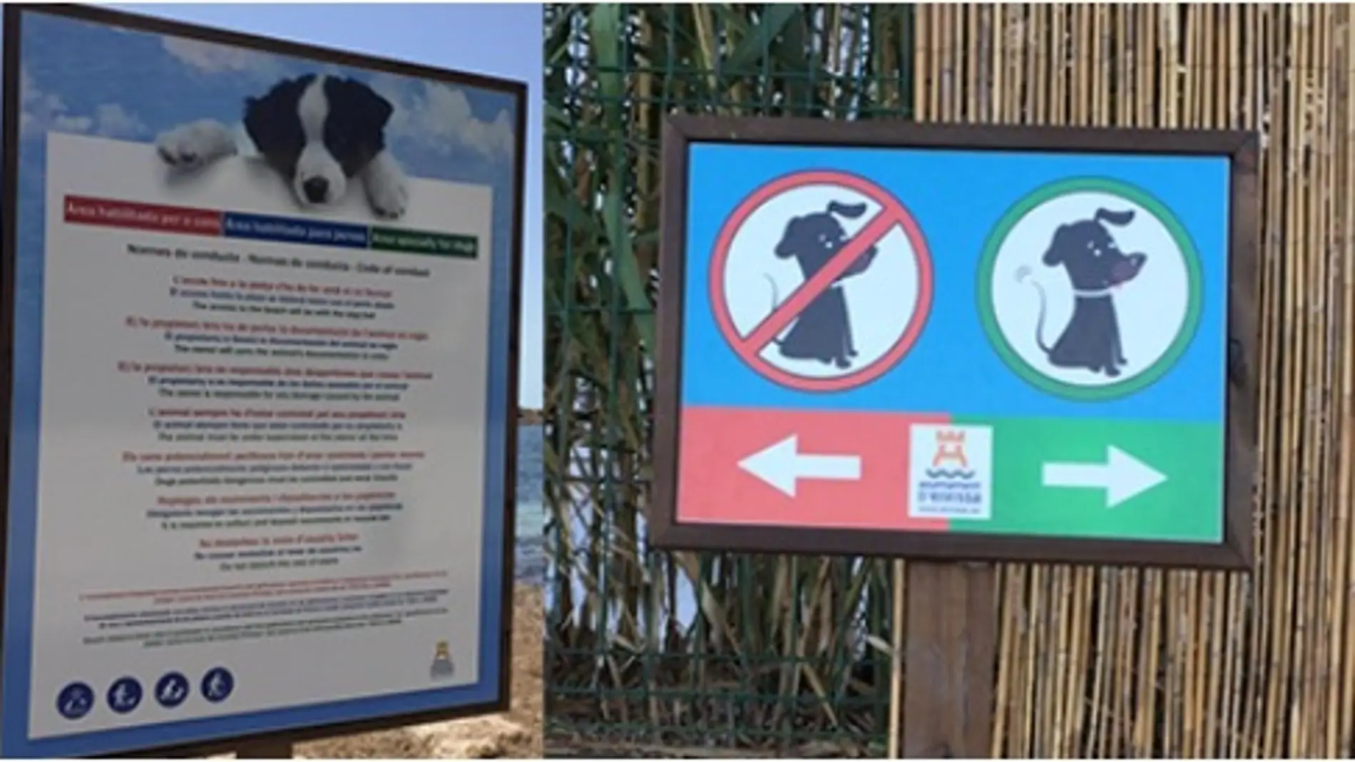 Arranca en Ibiza una campaña de vigilancia de tenencia y protección de animales. 