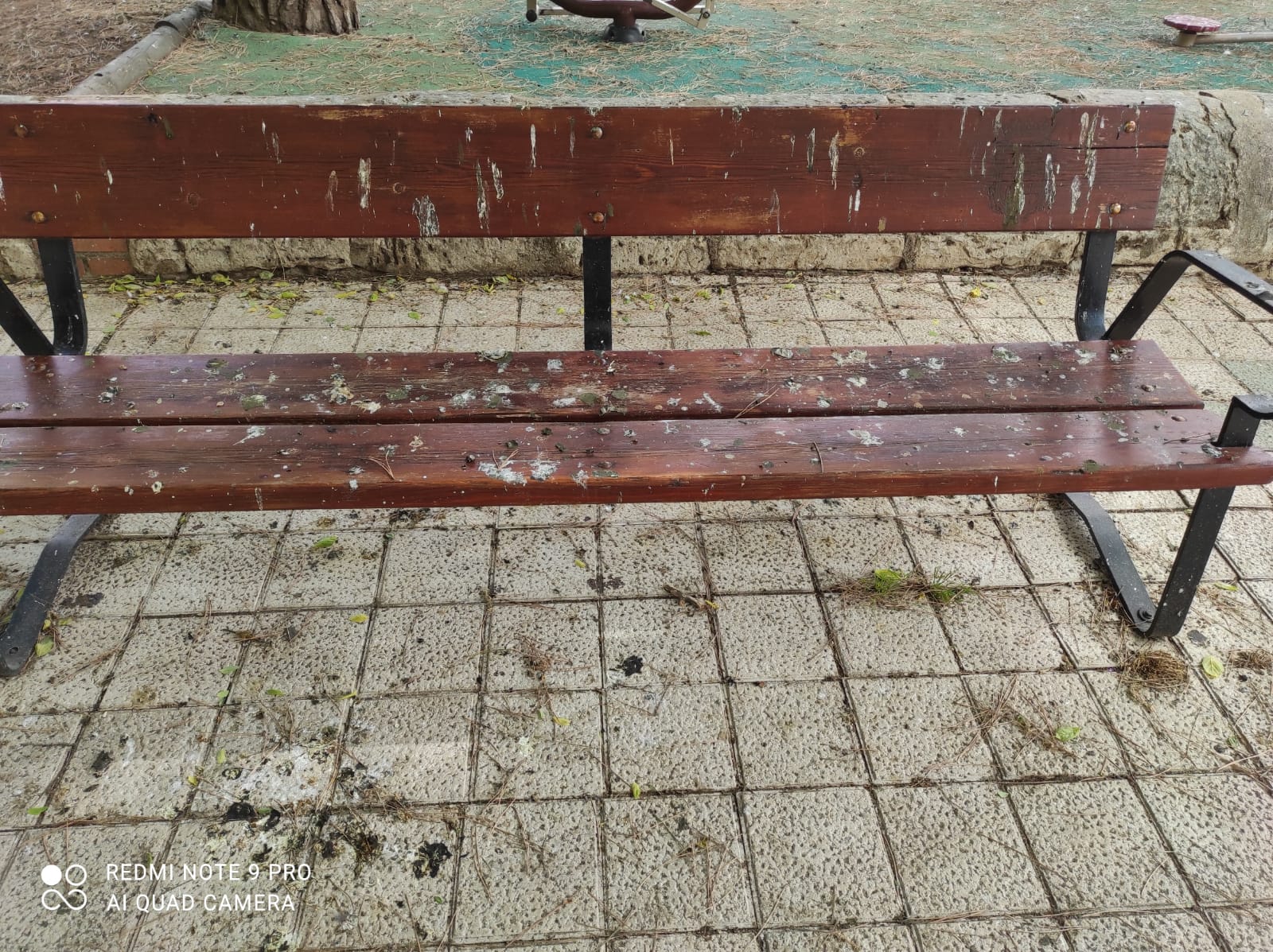 El PSOE pide una campaña de limpieza para eliminar la ingente suciedad acumulada por los excrementos de palomas El PSOE pide una campaña de limpieza para eliminar la ingente suciedad acumulada por los excrementos de palomas