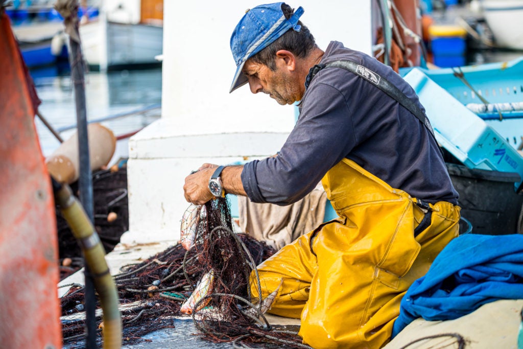 Peligra el pescado fresco en Menorca por la reducción de días para faenar de la UE Peligra el pescado fresco en Menorca por la reducción de días para faenar de la UE