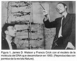 Ciencia en Onda Cero Ciencia en Onda Cero