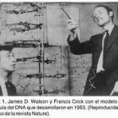 Científicos watson y Crick