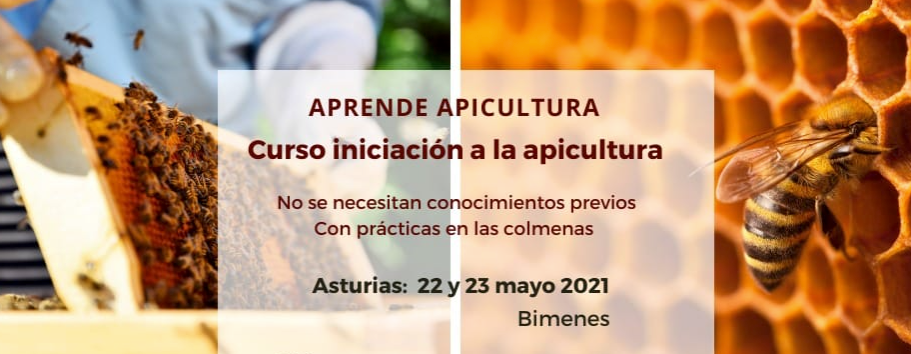 Bimenes acogerá un curso de apicultura a finales de mayo sin necesidad de conocimientos previos Bimenes acogerá un curso de apicultura a finales de mayo sin necesidad de conocimientos previos