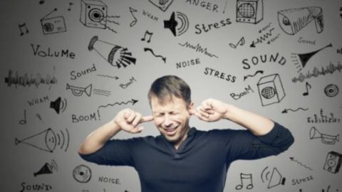 D&iacute;a Internacional de Concienciaci&oacute;n del ruido