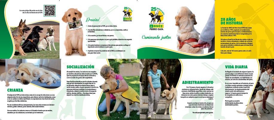 "Quiero ser perro guía. ¿Me ayudas?", la campaña de la Once que anima a las familias a socializar con estos animales "Quiero ser perro guía. ¿Me ayudas?", la campaña de la Once que anima a las familias a socializar con estos animales