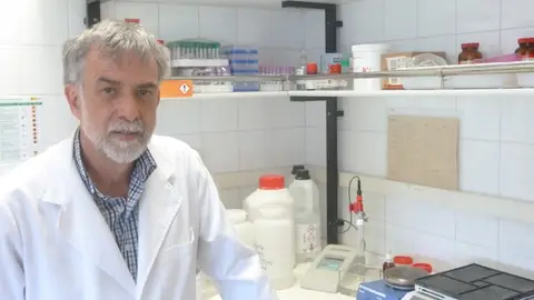 IGNACIO MORGADO IGNACIO MORGADO