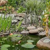 Parques racionales Parques racionales