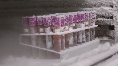 Muestras en uno de los congeladores del Biobanco Muestras en uno de los congeladores del Biobanco