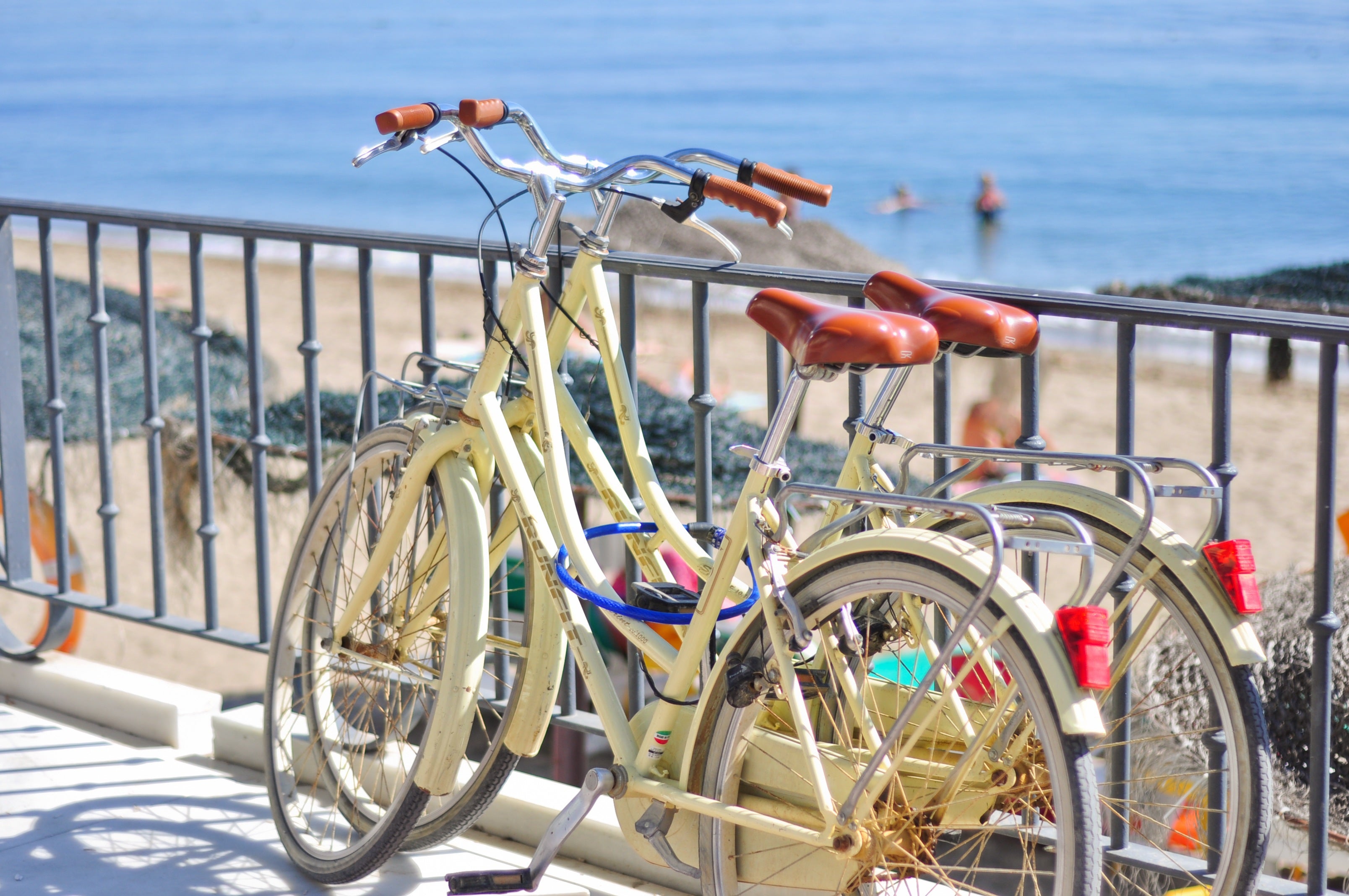 Marbella elaborará un nuevo Plan Municipal de Movilidad Urbana Sostenible Marbella elaborará un nuevo Plan Municipal de Movilidad Urbana Sostenible