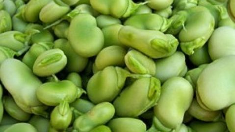 Se Nos Va la Olla