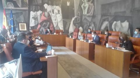 Pleno de la Diputación de Ciudad Real Pleno de la Diputación de Ciudad Real