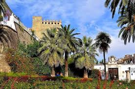 El proyecto Cabra Más Ciudad sigue adelante y emprende ahora la remodelación de la Plaza de España de la ciudad egabrense. El proyecto Cabra Más Ciudad sigue adelante y emprende ahora la remodelación de la Plaza de España de la ciudad egabrense.