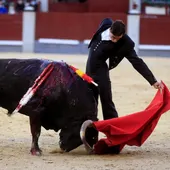 La Ventas acoge la primera corrida de toros en Madrid tras el parón por la pandemia La Ventas acoge la primera corrida de toros en Madrid tras el parón por la pandemia