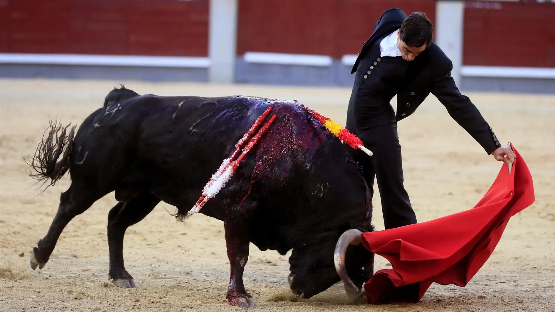 La Ventas acoge la primera corrida de toros en Madrid tras el parón por la pandemia 