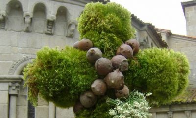 O Concello celebra a Festa dos Maios con xogos populares e música tradicional O Concello celebra a Festa dos Maios con xogos populares e música tradicional