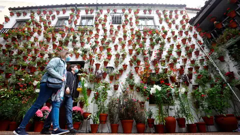 Los Patios de Córdoba Los Patios de Córdoba