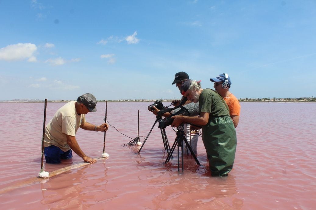 El documental describe el proceso de realización de la artesanía salinera de Torrevieja, una actividad de gran arraigo y tradición entre los trabajadores de las salinas, en riesgo de desaparición El documental describe el proceso de realización de la artesanía salinera de Torrevieja, una actividad de gran arraigo y tradición entre los trabajadores de las salinas, en riesgo de desaparición