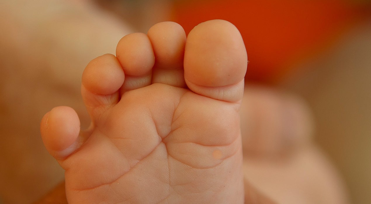 Una pareja tiene 20 hijos en un año a través de la gestación subrogada Una pareja tiene 20 hijos en un año a través de la gestación subrogada