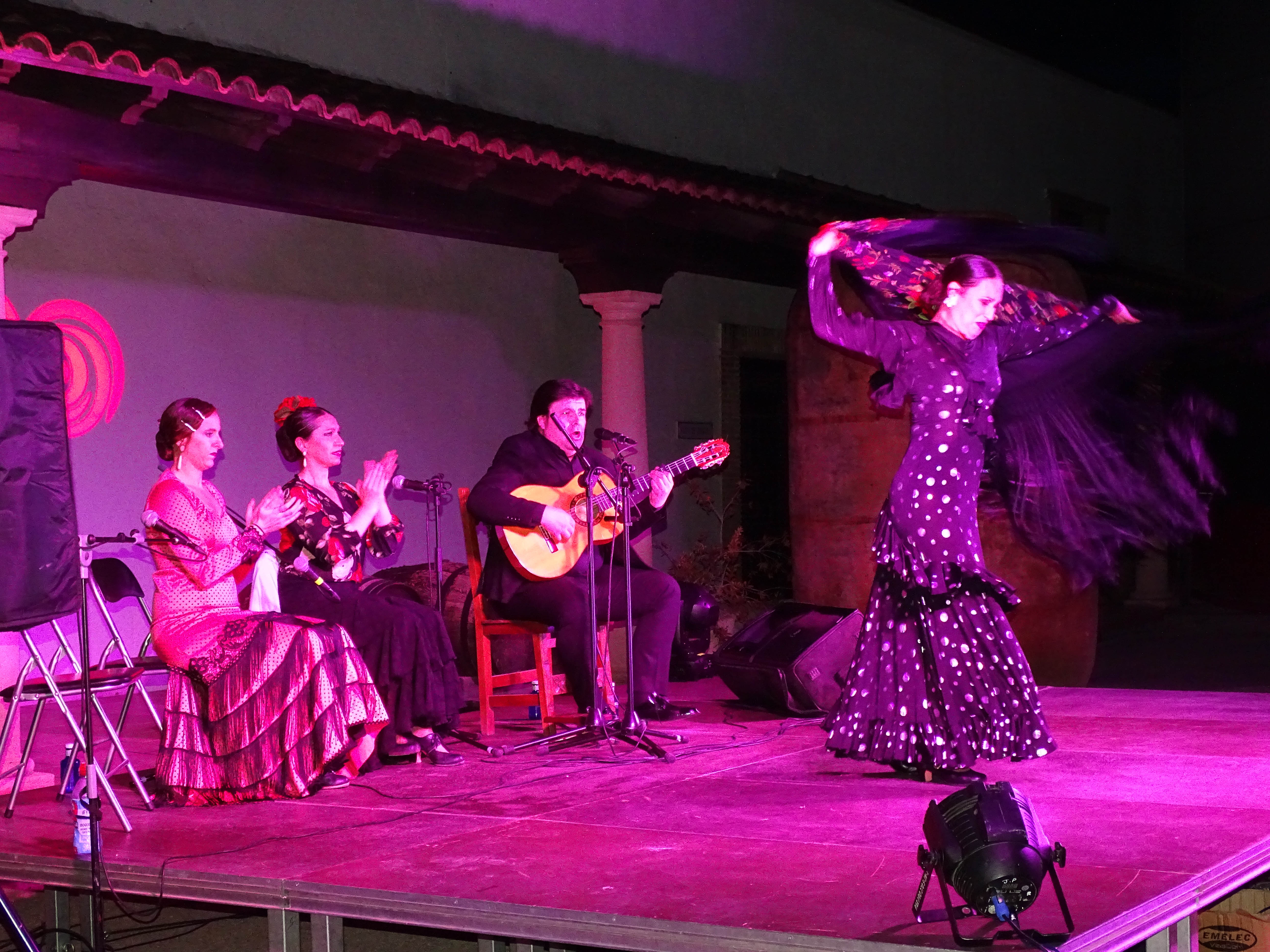 Quintanar disfruta de una gran noche de arte flamenco Quintanar disfruta de una gran noche de arte flamenco