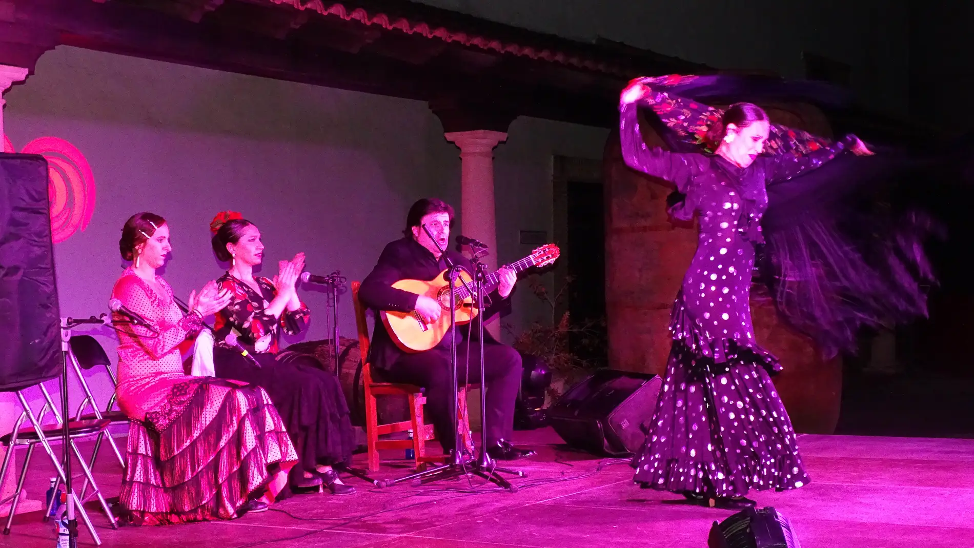 Quintanar disfruta de una gran noche de arte flamenco
