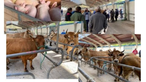 Feria Cruz Mayo Cangas del Narcea 2021