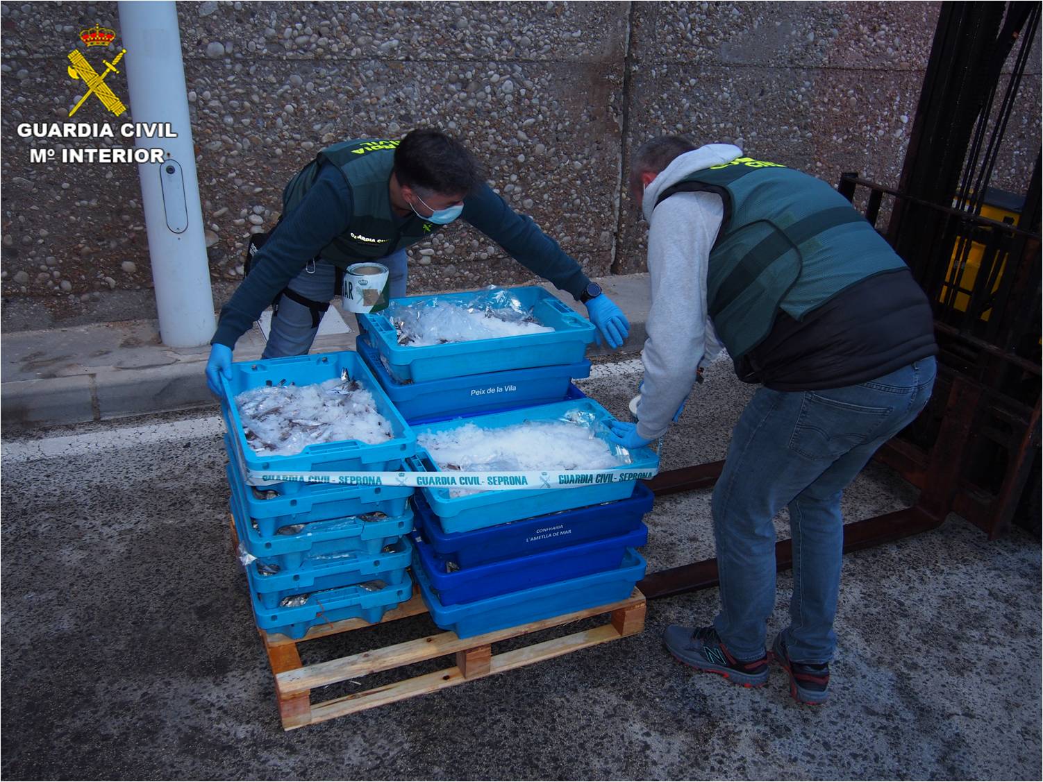 La Guardia Civil de Alicante interviene 110 kilogramos de pescado fresco ilegal en el puerto de Altea La Guardia Civil de Alicante interviene 110 kilogramos de pescado fresco ilegal en el puerto de Altea