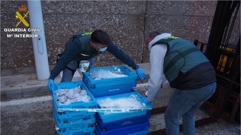 Pescado ilegal Pescado ilegal