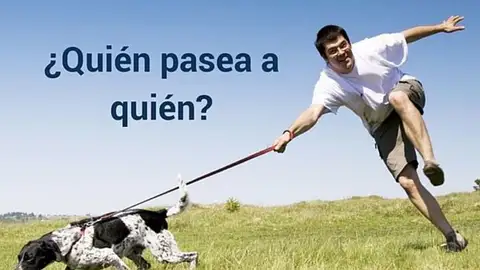 Uno de los problemas más frecuentes de los propietarios de perros " ¿Soy yo quién pasea o es mi perro?" can