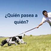 Uno de los problemas más frecuentes de los propietarios de perros " ¿Soy yo quién pasea o es mi perro?" 