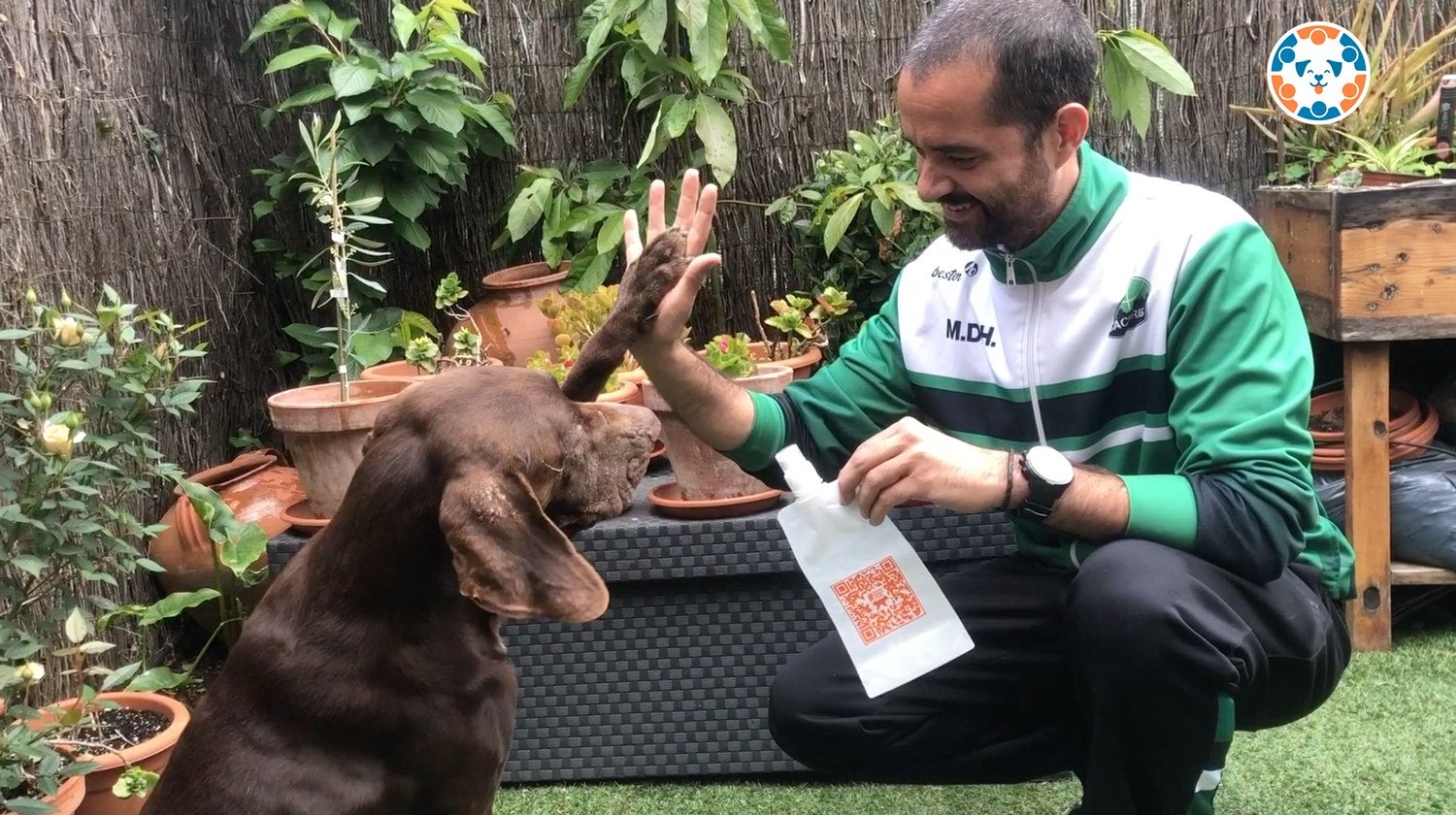 Cáceres lanza una campaña sobre la obligación de limpiar la orina de los perros ante la nueva ordenanza municipal Cáceres lanza una campaña sobre la obligación de limpiar la orina de los perros ante la nueva ordenanza municipal