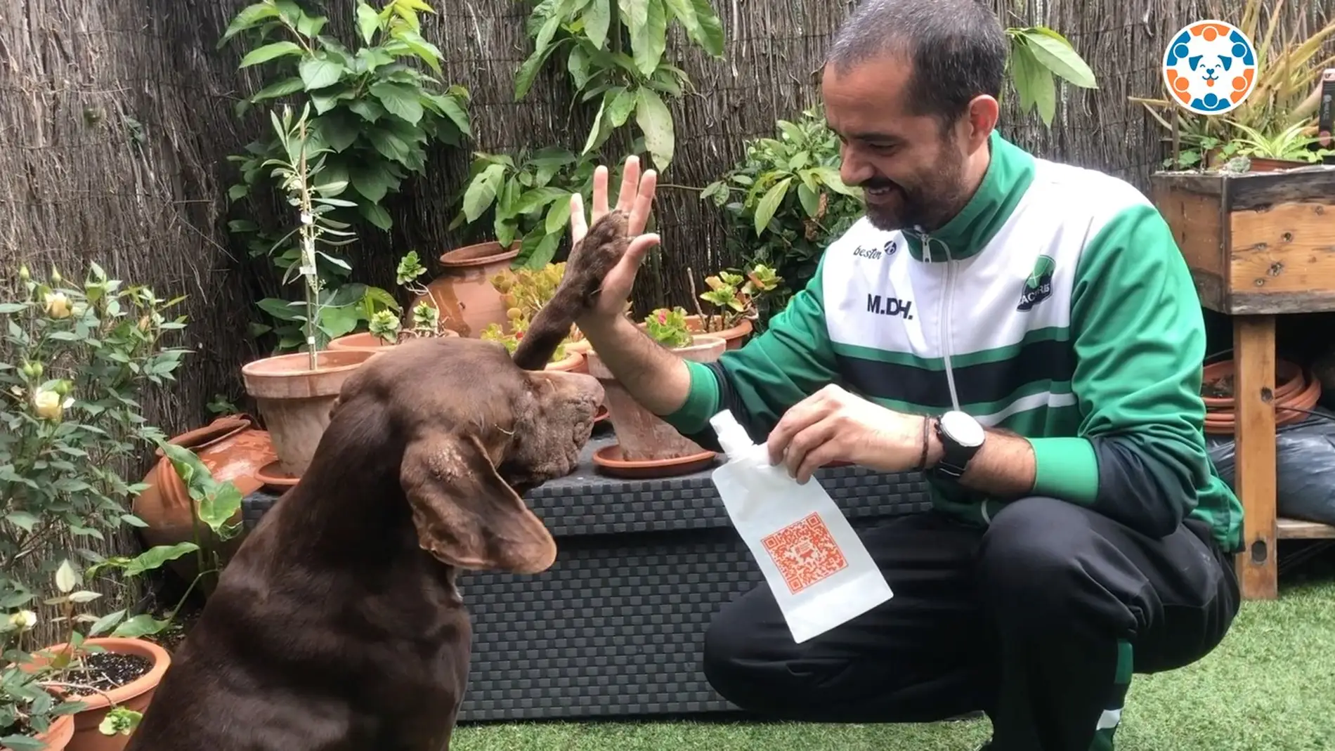 Cáceres lanza una campaña sobre la obligación de limpiar la orina de los perros ante la nueva ordenanza municipal