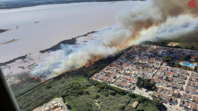 El incendio del Parque Natural de las Salinas de Torrevieja tendrá un gran impacto en algunas especies de gran interés que habitan el saladar El incendio del Parque Natural de las Salinas de Torrevieja tendrá un gran impacto en algunas especies de gran interés que habitan el saladar