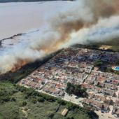 El incendio del Parque Natural de las Salinas de Torrevieja tendrá un gran impacto en algunas especies de gran interés que habitan el saladar 