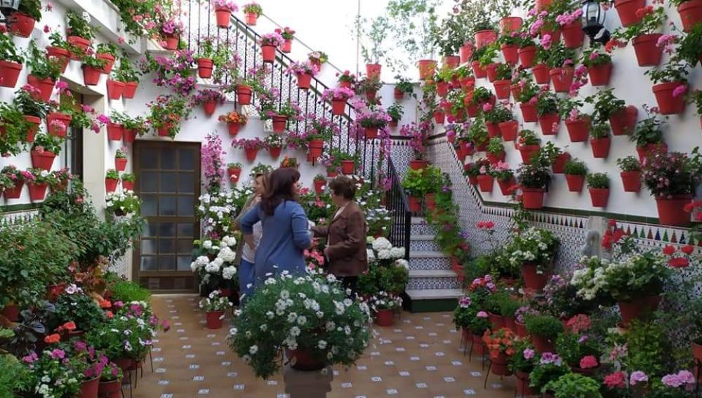Los patios de las casas de nuestros pueblos se llenan de flores Los patios de las casas de nuestros pueblos se llenan de flores