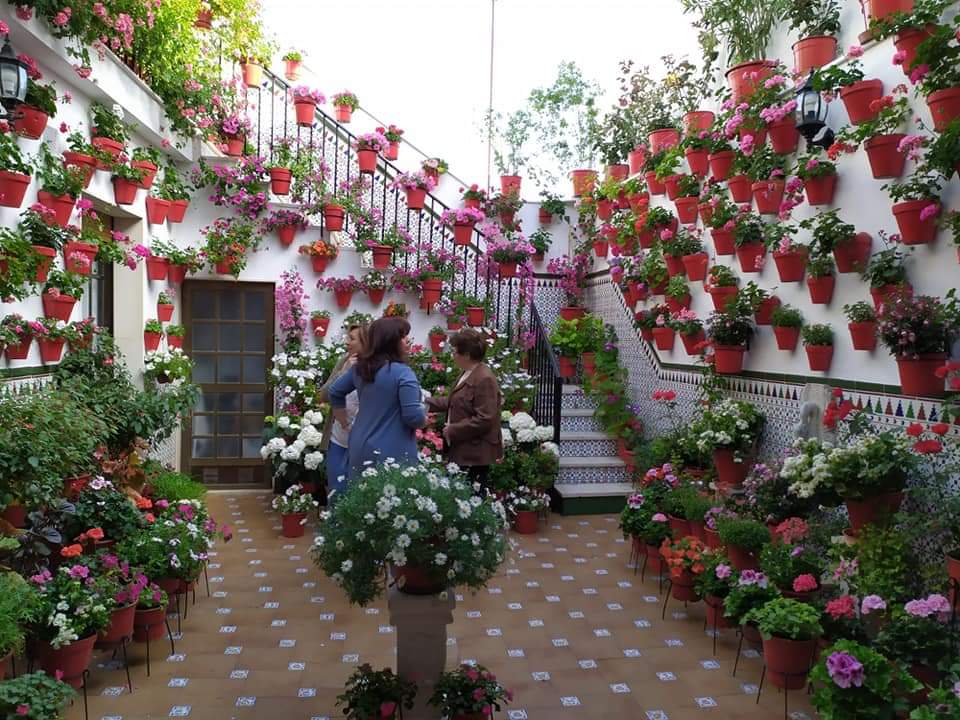 Los patios de las casas de nuestros pueblos se llenan de flores Los patios de las casas de nuestros pueblos se llenan de flores