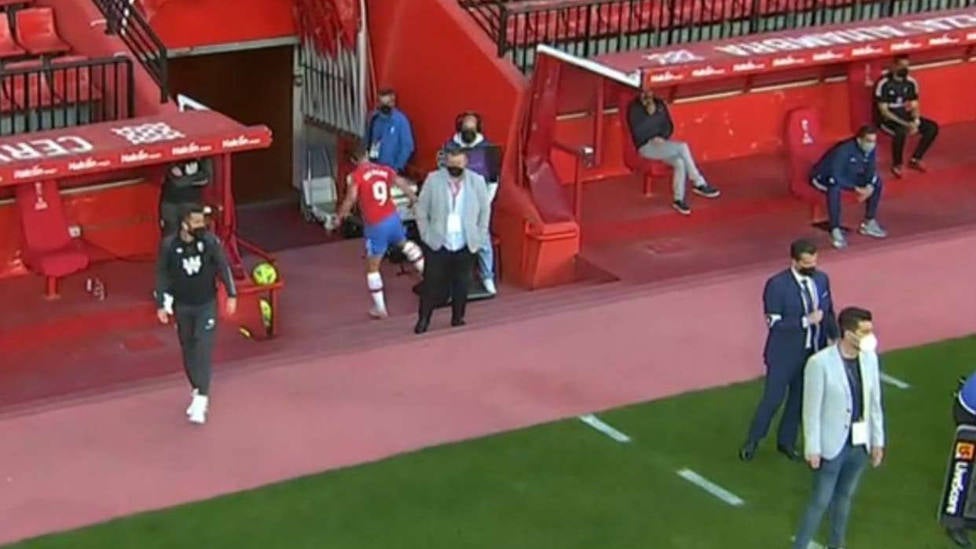 La planificación del Granada CF de la próxima temporada se encuentra paralizada, a la espera de la decisión definitiva de renovación o no de Diego Martínez. Onda Deportiva Granada 4/05/2021 La planificación del Granada CF de la próxima temporada se encuentra paralizada, a la espera de la decisión definitiva de renovación o no de Diego Martínez. Onda Deportiva Granada 4/05/2021