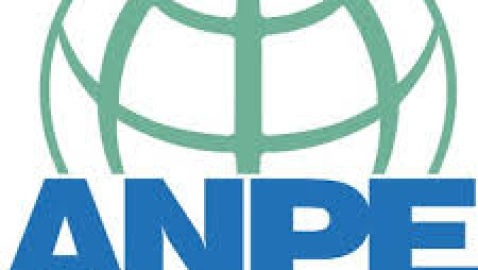 Anpe, sindicato independiente de profesorado 