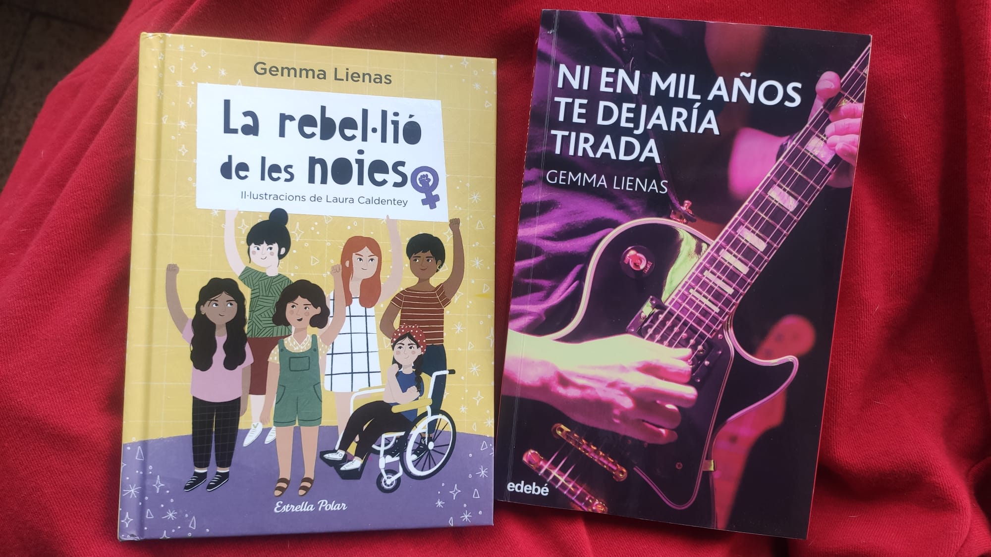 El feminisme a la literatura infantil i juvenil de Gemma Lienas El feminisme a la literatura infantil i juvenil de Gemma Lienas