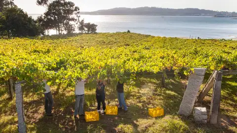 DO RÍAS BAIXAS Más de Uno Pontevedra
