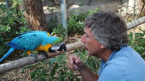 Raúl Mérida Raúl Mérida