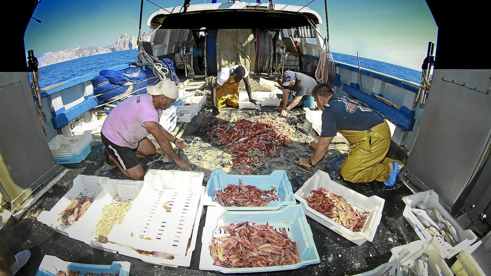 Pescadores de Baleares separando las capturas. 