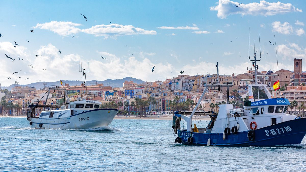El Consell presenta su proyecto para construir dos reservas marítimas en el litoral de la Vila y El Campello El Consell presenta su proyecto para construir dos reservas marítimas en el litoral de la Vila y El Campello