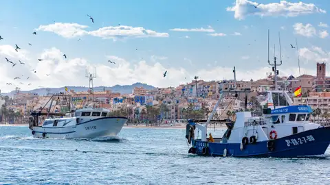 Barcas pesqueras Sectores