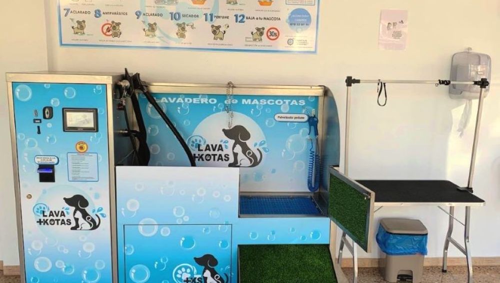 Lava+kotas tiene un regalo muy especial para nuestras mascotas Lava+kotas tiene un regalo muy especial para nuestras mascotas
