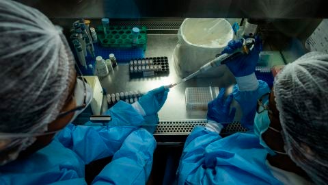 Laboratorio en el que se investigan distintas cepas del coronavirus