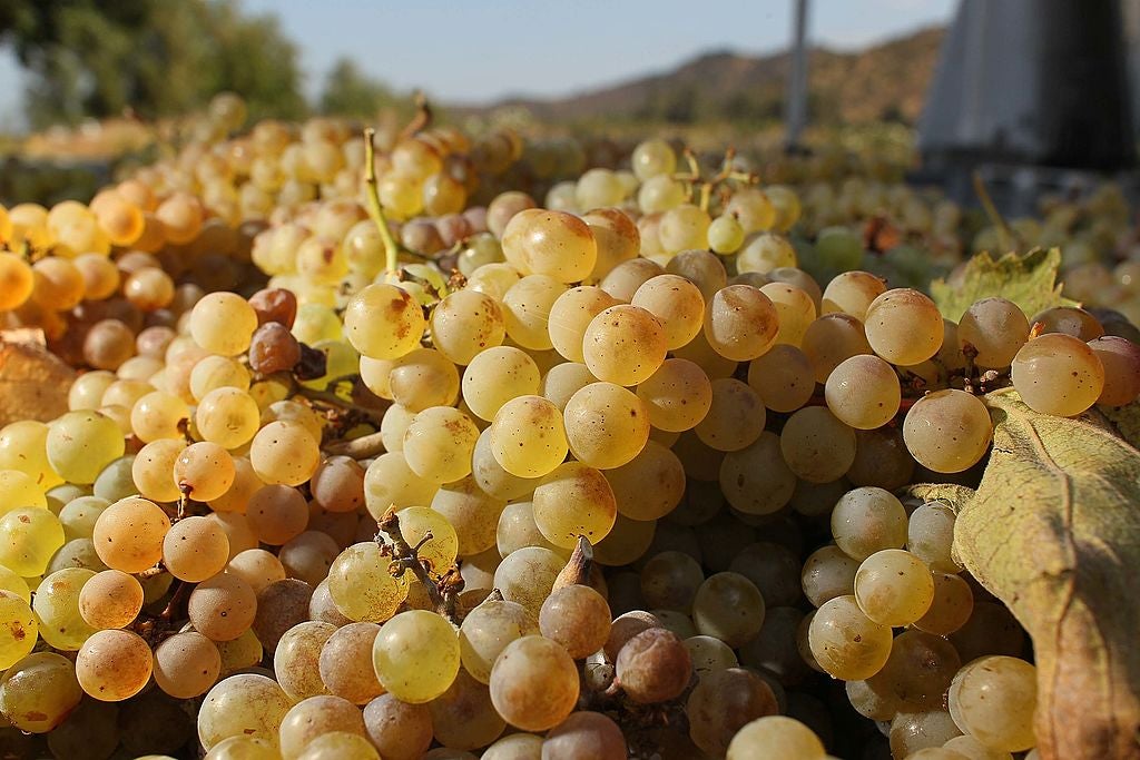 Cuánto tiempo duran las uvas en la nevera Cuánto tiempo duran las uvas en la nevera