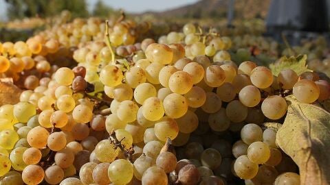 Cuánto tiempo duran las uvas en la nevera