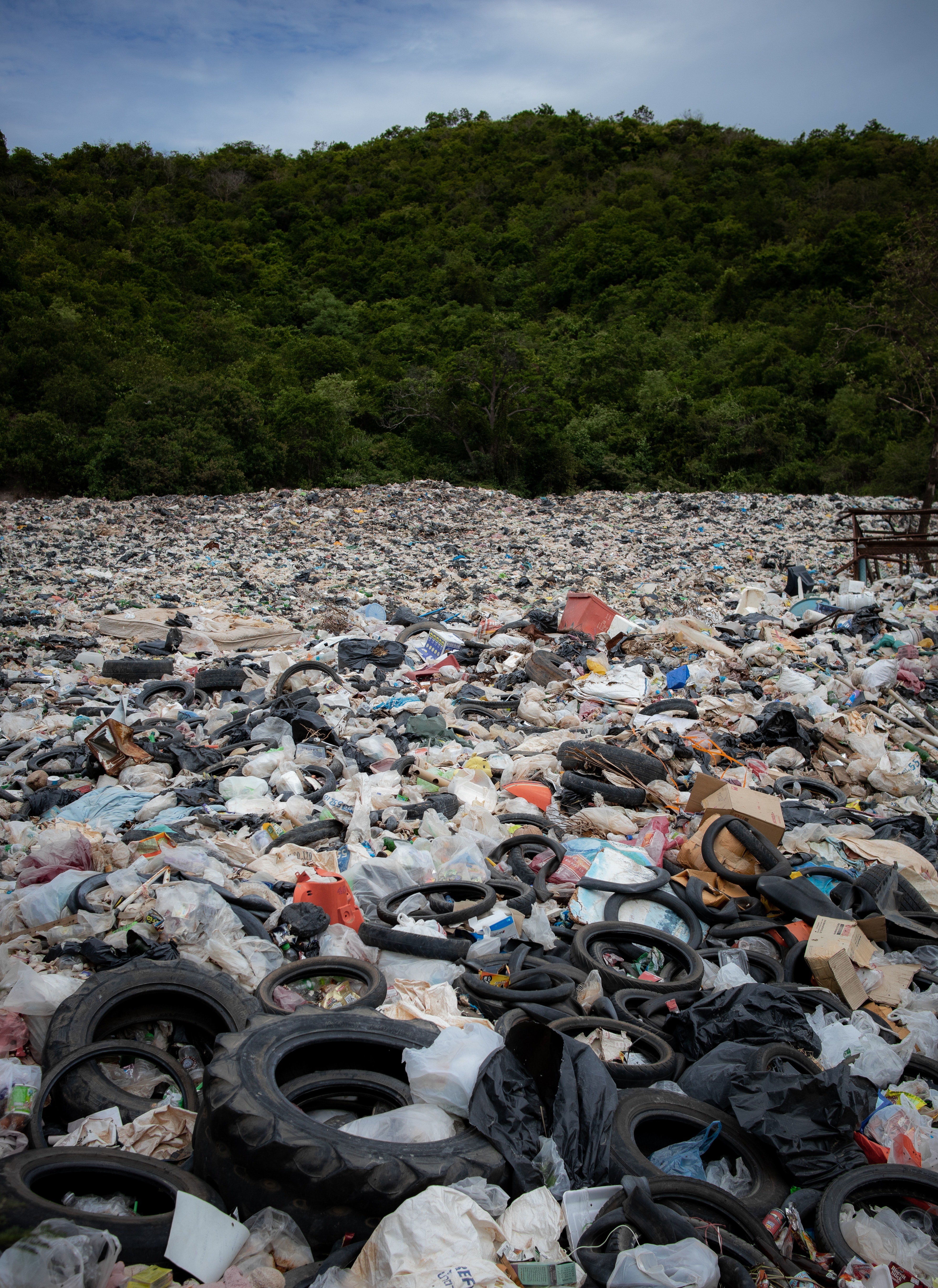 "Reducir", la clave del reciclaje "Reducir", la clave del reciclaje