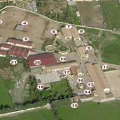 Finca La Caridad Finca La Caridad