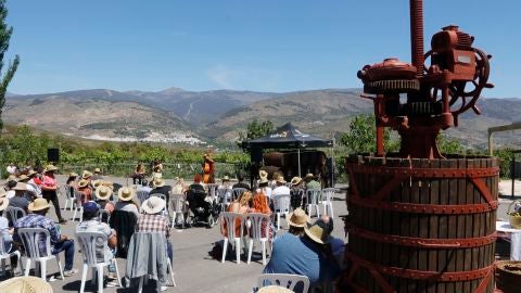Festival Murmura